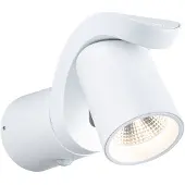 Paulmann LED Applique murale d'extérieur Cuff Détecteur de mouvement àcrépusculaire (IR)