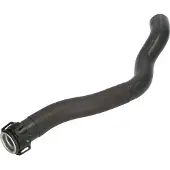 THERMOTEC Durite de radiateur DWP117TT