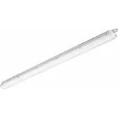 Signify Philips WT120C, 4000 K, 6000 lm, IP65, gris