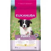 Eukanuba Puppy Medium Breeds Chicken 15 kg nourriture sèche pour chiots de races moyennes riche en poulet frais