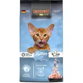 Leonardo - Chaton GF - 1,8 kg