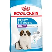 Royal Canin Croquettes Chien Puppy Giant Pour Chiot Geant De 2 A 8 Mois 3.5kg