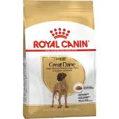 Royal Canin Great Dane Adult