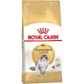 Royal Canin Norwegian Forest Cat Adult - 10 kg