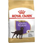 Royal Canin Labrador Retriever Sterilised Poultry Rice Dog Food 12kg Multicolore 12kg