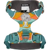 Ruffwear Front Range Harness Harnais pour chien, Couleur:Spring Mountains, Taille:XXS