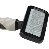 Beeztees Brosse lisse Chien - Moyen