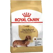 Royal Canin Daschund Adult Dog Food 7.5kg Multicolore 7.5kg