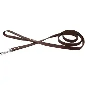 Beeztees BZ LAISSE EN CUIR MARRON 165X16 (Chien)