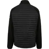 Regatta - Veste hybride "Clumber" pour homme RG12276 (S) (Noir)