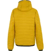Regatta - Veste matelassée "Rigain" pour homme RG12162 (L) (Or)
