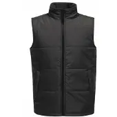 Regatta - Gilet Isolé pour Homme RG3564 (M) (Gris Foncé/Noir)