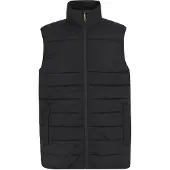 Regatta - Gilet thermique pour homme RG11657 (3XL) (Noir)