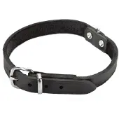 Beeztees BZ COLLIER EN CUIR NOIR 42X16 (Chien, Général)
