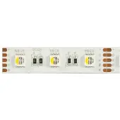Synergy 21 LED Flex Strip RGB DC24V + RGB-W one chip cw (Blanc froid, RGB, 500 cm, Intérieur)