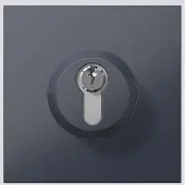 Siedle Module de serrure SM 611-01 AG gris anthracite