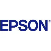 Epson Cartouche d'encre T45L C13T45LB00 Argent métallisé pour SureColor SC-S80600L