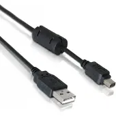 DeLOCK Câble appareil photo Olympus 12-Pin USB 1m