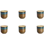 Bjorn Coupe ISLAND 15cl - 6 pièces - Terre et mer