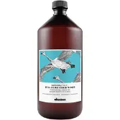 Davines Natural Tech Well-Being Conditioner 1000 ml
