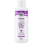 Valquer Shampooing à l'oignon 1000ml