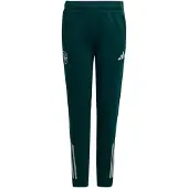 Adidas Pantalon de sport 'Arsenal Tiro 25 Competition' vert foncé