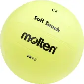 Molten Volleyball