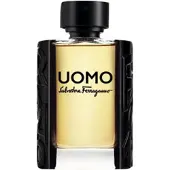 Salvatore Ferragamo Uomo Eau de Toilette Spray (100 ml)