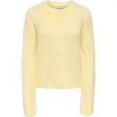 JDY Cardigan 'JDYDinea' jaune clair