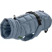 Hunter Paxson Bulldog Fr Dog Jacket Bleu 36 cm