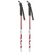 Masters Xcjr Poles Argenté 110 cm