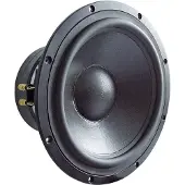 Visaton TIW 300 - 8 Ohm woofer 12 pouces