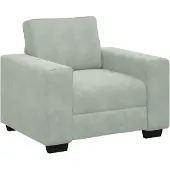 vidaXL Fauteuil gris clair 100x77x82 cm Velours