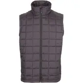 Dlx Enoless Vest Gris M Homme