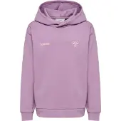 Hummel Graphic Hoodie Violet 104 cm Enfants