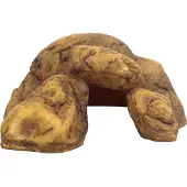 Exo Terra Caverne de reptiles M 24x17x17cm