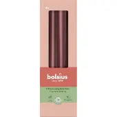 Bolsius Bougies pointues, set de 4 25x2,5cm bordeaux (4 pcs)