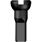 Sapim Nipple Heads 100 Units Noir 16 mm