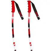 Vola Gs Alu Poles Multicolore 135 cm