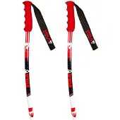 Vola Bâtons Junior Gs Alu