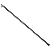 Daiwa Procaster Big Pike Canne Bolognese argent 5.00 m argent 5.00 m