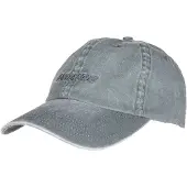 Santa Cruz Team Cap Gris