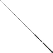 Daiwa Legalis Vertical Jigging Rod Argenté 1.91 m / 20-80 g