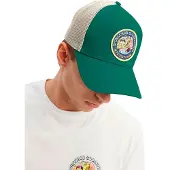 Hydroponic Sb Yin Yang Cap Vert