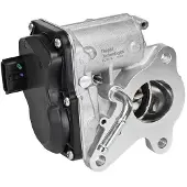 Delphi Vanne EGR EG10747-12B1