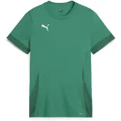 Puma T-Shirt fonctionnel roseau / vert foncé / blanc