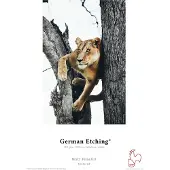 Hahnemuhle German Etching A3+ 25 Feuilles