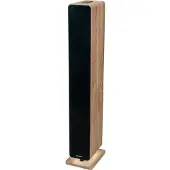Thomson DS702 Tour d'enceintes Bluetooth 120W en bois noir avec télécommande
