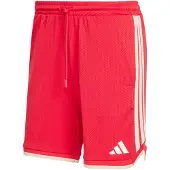 Adidas Pantalon de sport 'Stadium' rouge / blanc