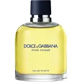 Dolce&Gabbana Pour Homme 125ml Eau De Toilette